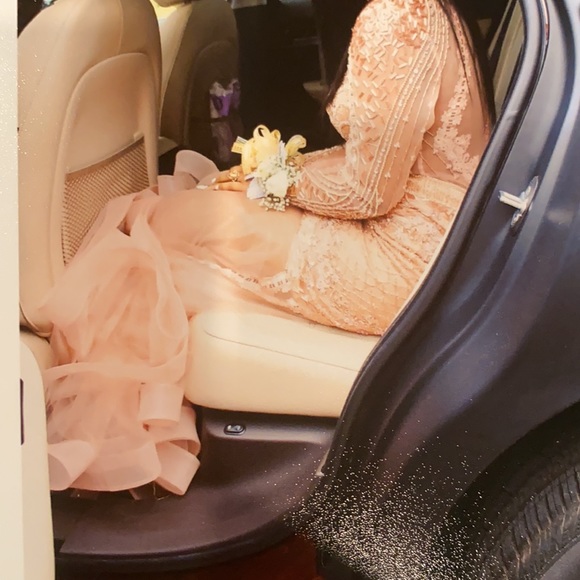 Terani couture blush mermaid dress.  Size 6 - Picture 7 of 8